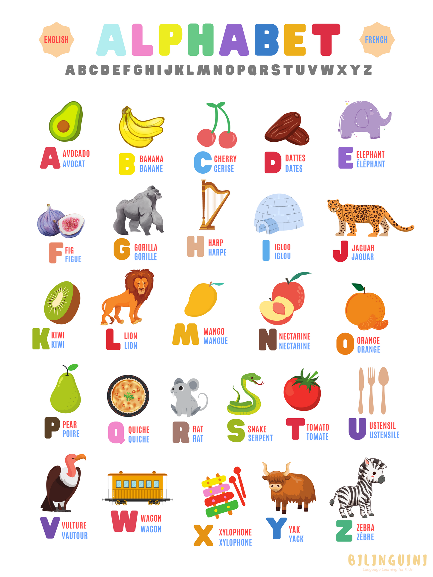 Alphabet Poster : French and English Letters and Words for Kids – Bilinguini