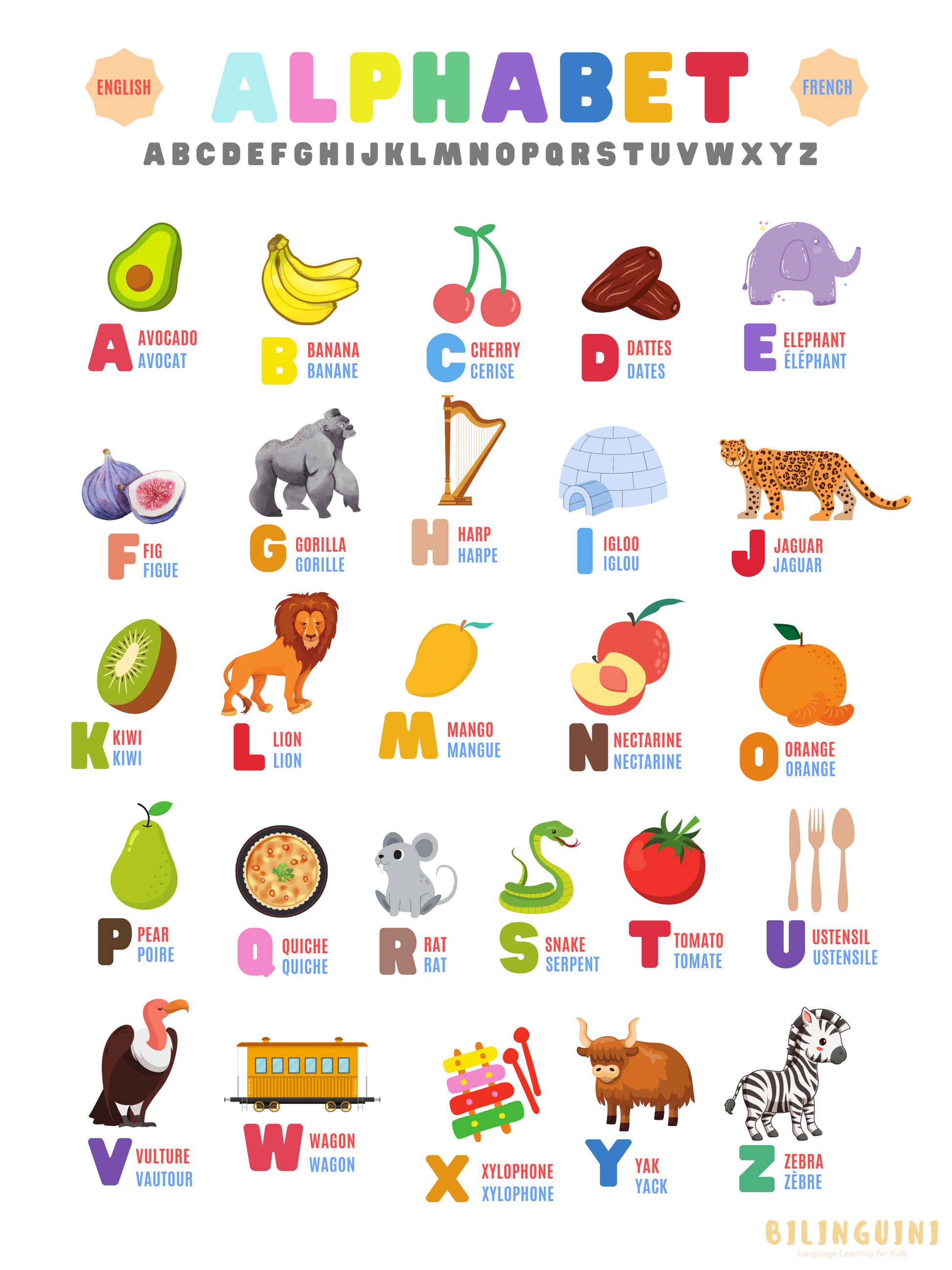 Learn the Alphabet Poster, Alphabet Chart, Letters